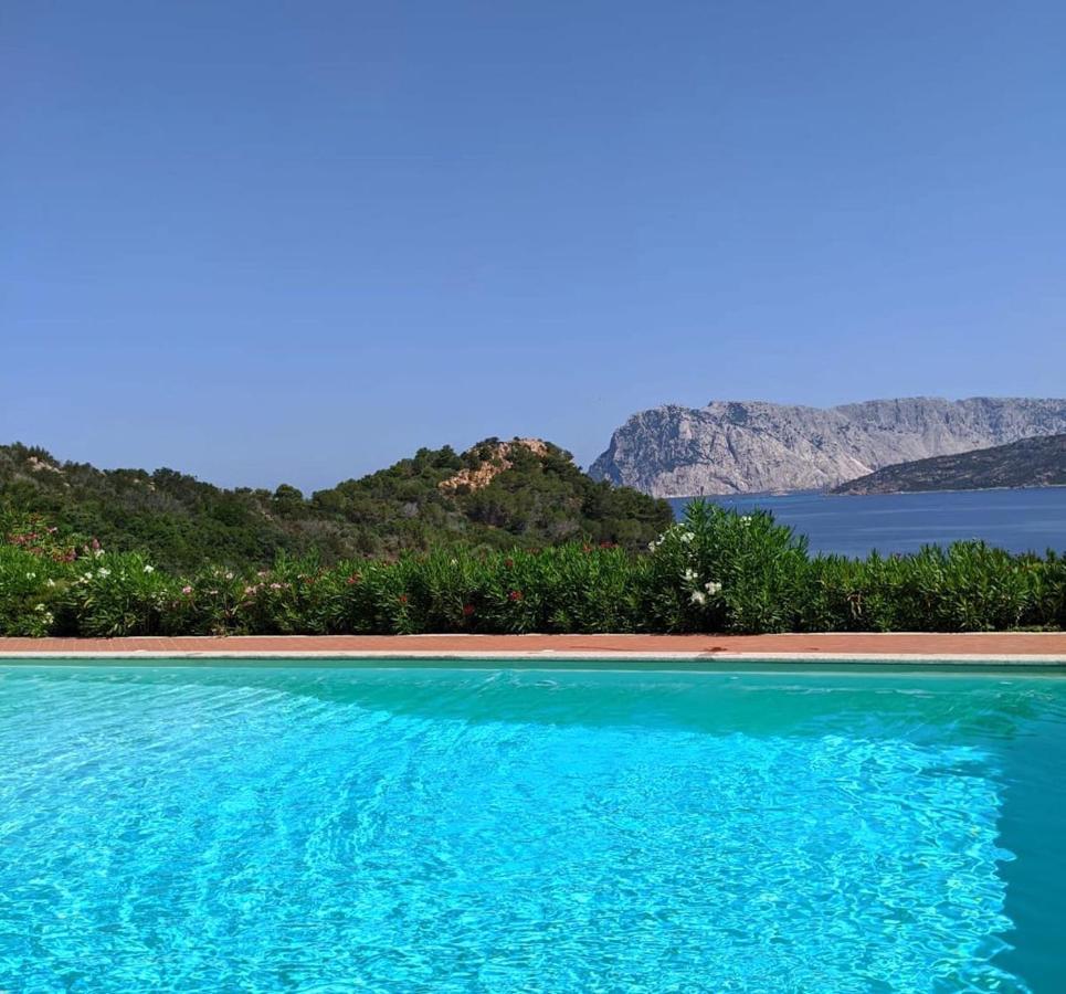 San Teodoro Punta Est Curatissimo Bilocale Apartment Capo Coda Cavallo Exterior photo